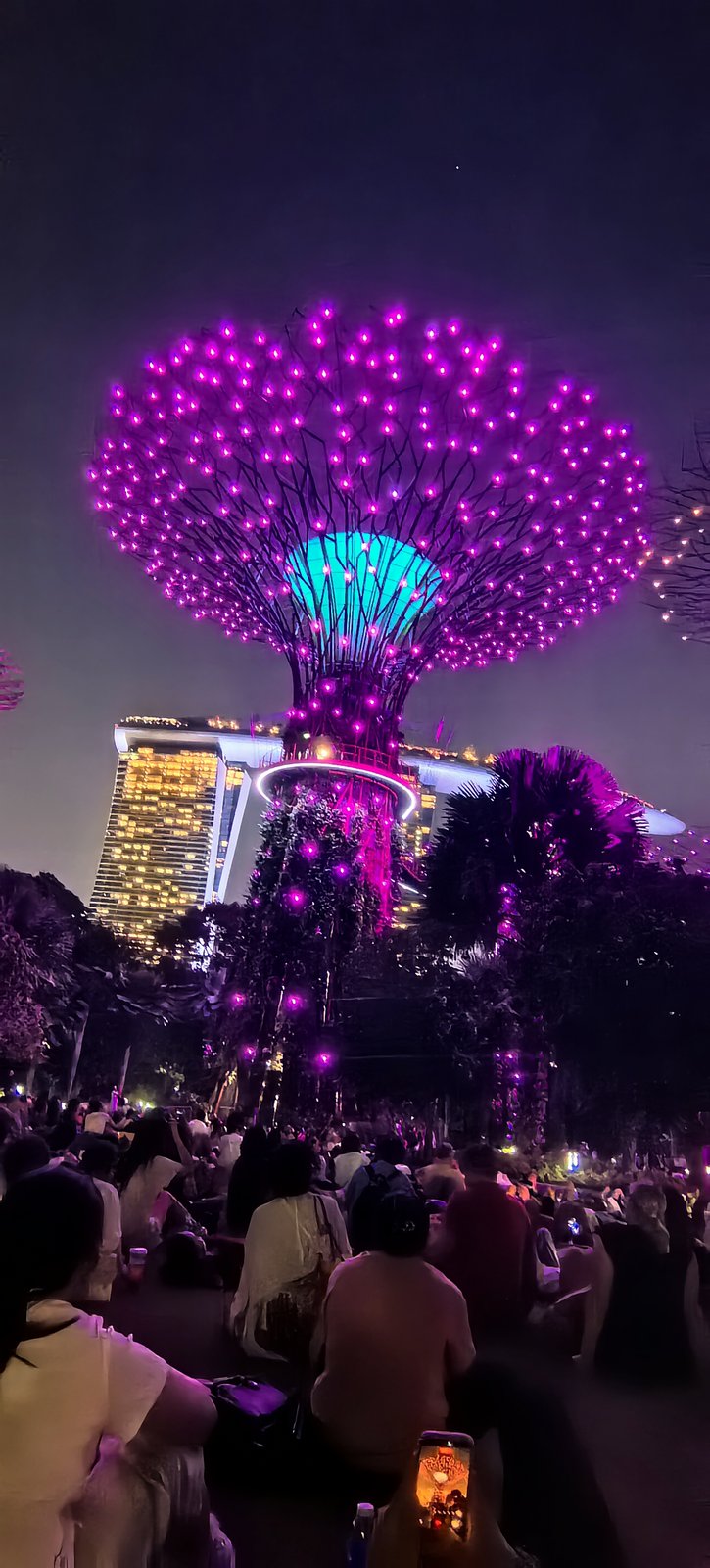 图 3 超级树与金沙酒店在夜间共同形成的人工景观